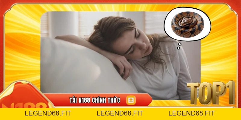 Mơ Rắn Cắn Là Điềm Gì – Khám Phá Các Con Số May Mắn