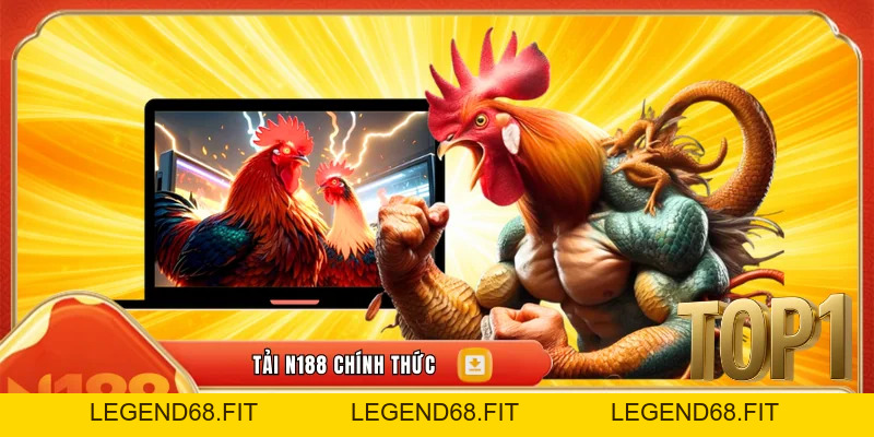 Cách Xem Tướng Gà Đá – Bí Quyết Chọn Gà Chiến Chuẩn