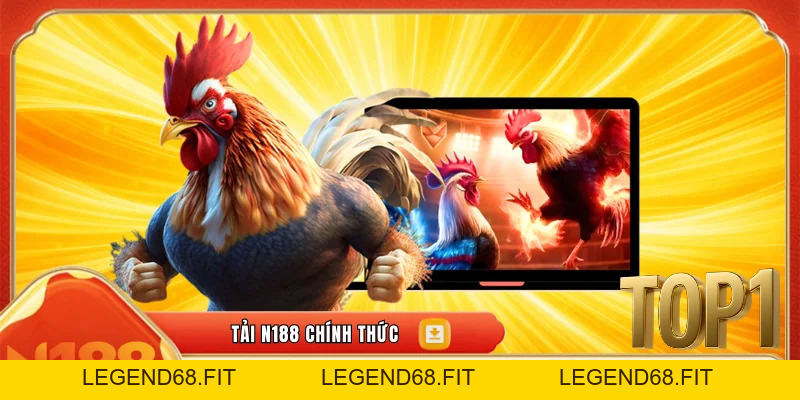 Luật Đá Gà Cựa Sắt – Tổng Hợp Quy Định Cơ Bản
