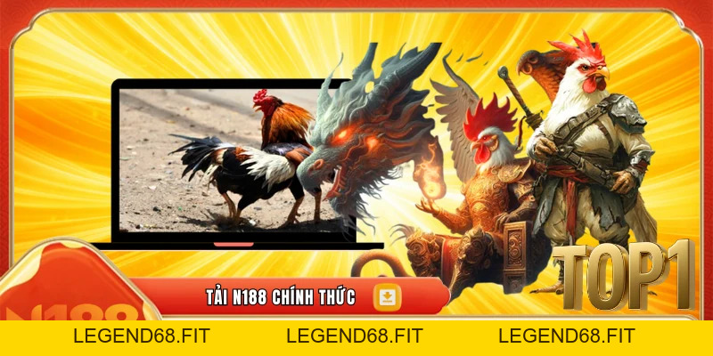 Cách Xem Tướng Gà Đá – Bí Quyết Chọn Gà Chiến Chuẩn